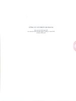 Báo cáo tài chính hợp nhất năm 2009 (đã kiểm toán) - Công ty cổ phần LICOGI 16