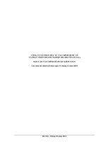 Báo cáo tài chính năm 2010 (đã kiểm toán) - Công ty Cổ phần Đầu tư Tài chính Quốc tế và Phát triển Doanh nghiệp IDJ