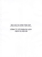 Báo cáo tài chính năm 2015 (đã kiểm toán) - Công ty cổ phần Du lịch - Dịch vụ Hội An