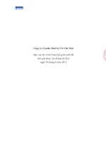 Báo cáo tài chính hợp nhất quý 2 năm 2013 (đã soát xét) - Công ty cổ phần Thiết bị Y tế Việt Nhật