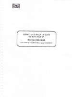 Báo cáo tài chính năm 2013 (đã kiểm toán) - Công ty cổ phần Du lịch - Dịch vụ Hội An