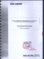Báo cáo tài chính hợp nhất năm 2008 (đã kiểm toán) - Công ty Cổ phần Đầu tư Địa ốc Khang An