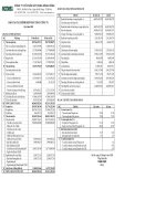 Báo cáo tài chính quý 1 năm 2009 - Công ty Cổ phần Xây dựng Sông Hồng