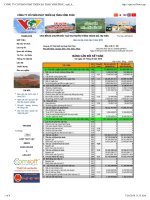 Báo cáo tài chính quý 2 năm 2010 - Công ty Cổ phần Phát triển Hạ tầng Vĩnh Phúc