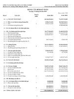 Báo cáo tài chính quý 2 năm 2010 (đã soát xét) - Công ty Cổ phần Bao bì và In Nông nghiệp