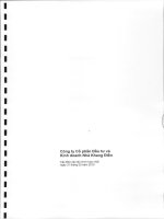 Báo cáo tài chính hợp nhất quý 1 năm 2010 - Công ty Cổ phần Đầu tư Kinh doanh nhà Khang Điền