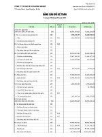 Báo cáo tài chính quý 3 năm 2010 - Công ty Cổ phần Bao bì và In Nông nghiệp