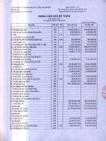 Báo cáo tài chính quý 3 năm 2010 - Công ty Cổ phần Đầu tư Thương mại Thủy Sản