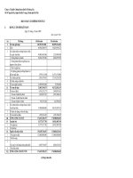 Báo cáo tài chính năm 2008 - Công ty Cổ phần Chứng khoán Quốc tế Hoàng Gia