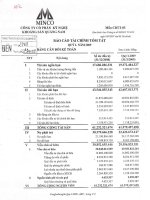 Báo cáo tài chính quý 1 năm 2009 - Công ty Cổ phần Kỹ nghệ Khoáng sản Quảng Nam