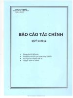 Báo cáo tài chính công ty mẹ quý 1 năm 2012 - Công ty Cổ phần Tập đoàn Kido