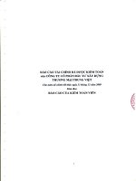 Báo cáo tài chính năm 2009 (đã kiểm toán) - Công ty Cổ phần Phát triển Nhà và Sản xuất Vật liệu xây dựng Chí Linh