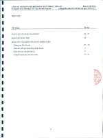 Báo cáo tài chính quý 2 năm 2012 (đã soát xét) - Công ty Cổ phần Chế biến Hàng xuất khẩu Long An