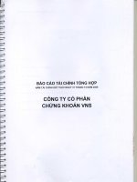 Báo cáo tài chính năm 2009 (đã kiểm toán) - Công ty cổ phần Chứng khoán Đầu tư Việt Nam