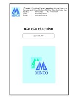 Báo cáo tài chính quý 1 năm 2008 - Công ty Cổ phần Kỹ nghệ Khoáng sản Quảng Nam