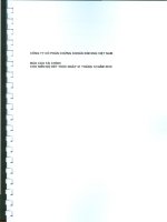 Báo cáo tài chính năm 2010 (đã kiểm toán) - Công ty cổ phần Chứng khoán MayBank Kim Eng