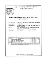 Báo cáo tài chính quý 2 năm 2013 - Công ty Cổ phần Đầu tư phát triển hạ tầng IDICO