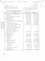 Báo cáo tài chính quý 2 năm 2007 - Công ty Cổ phần Đá Xây dựng Hoà Phát