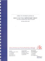 Báo cáo tài chính hợp nhất năm 2010 (đã kiểm toán) - Công ty cổ phần LICOGI 16