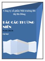 Báo cáo thường niên năm 2008 - Công ty Cổ phần Môi trường Đô thị Hà Đông