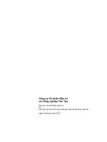 Báo cáo tài chính hợp nhất quý 2 năm 2010 (đã soát xét) - Công ty Cổ phần Đầu tư và Công nghiệp Tân Tạo