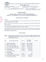 Nghị quyết đại hội cổ đông ngày 17-4-2010 - Công ty Cổ phần Đầu tư Phát triển điện Miền Bắc 2