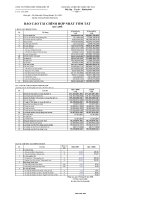 Báo cáo tài chính hợp nhất quý 1 năm 2008 - Công ty Cổ phần Thực phẩm Quốc tế