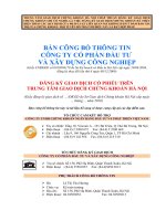 Bản cáo bạch - Công ty Cổ phần Đầu tư và Xây dựng Công nghiệp