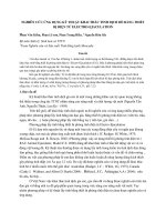 Phan văn kiểm   báo cáo khoa học năm 2010 