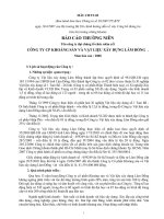 Báo cáo thường niên năm 2008 - Công ty Cổ phần Khoáng sản và Vật liệu xây dựng Lâm Đồng