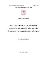 Nghiên cứu định loại vi khuẩn và đánh giá hiệu quả sát khuẩn ống tủy bằng natri hypoclorit và calcium hydroxide trong điều trị viêm quanh cuống mạn 