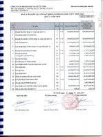 Báo cáo KQKD quý 2 năm 2010 - Công ty cổ phần Đầu tư Xây dựng và Khai thác Công trình Giao thông 584