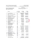 Báo cáo tài chính năm 2008 - Công ty cổ phần Du lịch - Dịch vụ Hội An