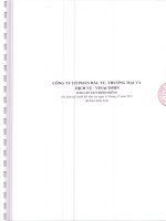 Báo cáo tài chính công ty mẹ năm 2011 (đã kiểm toán) - Công ty cổ phần Đầu tư, Thương mại và Dịch vụ - Vinacomin