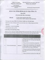 Báo cáo tình hình quản trị công ty - Công ty cổ phần Thiết bị Y tế Việt Nhật