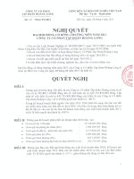 Nghị quyết Đại hội cổ đông thường niên năm 2011 - Công ty Cổ phần Tập đoàn Hoàng Long