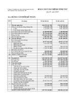 Báo cáo tài chính quý 4 năm 2009 - Công ty Cổ phần Sản xuất và Kinh doanh Kim khí