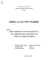 Luận văn hoàn thiện kế toán bán hàng và xác định kết quả bán hàng tại công ty trách nhiệm hữu hạn tân hồng 
