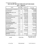 Báo cáo tài chính quý 1 năm 2010 - Công ty Cổ phần Bao bì và In Nông nghiệp