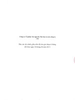 Báo cáo tài chính hợp nhất quý 2 năm 2015 - Công ty cổ phần Tài nguyên Masan