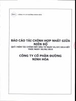 Báo cáo tài chính hợp nhất quý 1 năm 2014 trong giai đoạn chuyển đổi - Công ty Cổ phần Đường Ninh Hòa