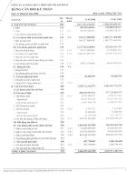 Báo cáo tài chính quý 1 năm 2008 - Tổng Công ty Phát triển Đô thị Kinh Bắc-CTCP