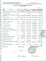 Báo cáo KQKD công ty mẹ quý 4 năm 2010 - Công ty Cổ phần Vật tư tổng hợp và Phân bón Hóa sinh