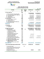 Báo cáo tài chính 6 tháng đầu năm 2010 - Công ty cổ phần Dịch vụ Hàng không Sân bay Đà Nẵng