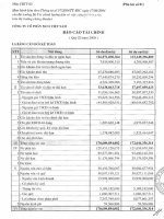 Báo cáo tài chính quý 3 năm 2008 - Công ty Cổ phần Đầu tư và Xây dựng BDC Việt Nam
