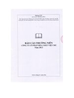 Báo cáo thường niên năm 2013 - Công ty Cổ phần Hóa chất Việt Trì