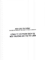 Báo cáo tài chính năm 2015 (đã kiểm toán) - CTCP Dịch vụ Môi trường Đô thị Từ Liêm