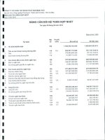 Báo cáo tài chính hợp nhất quý 2 năm 2010 - Công ty Cổ phần Tập đoàn Thủy sản Minh Phú