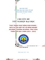 THỰC TRẠNG HOẠT ĐỘNG KINH DOANH – DỊCH vụ của hợp tác xã NÔNG NGHIỆP AN ĐÔNG, PHƯỜNG AN ĐÔNG, TỈNH THỪA THIÊN HUẾ QUA 3 năm (2013 – 2015)