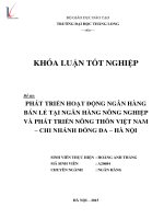 Luận văn phát triển hoạt động ngân hàng bán lẻ tại ngân hàng nông nghiệp và phát triển nông thôn việt nam chi nhánh đống đa hà nội 